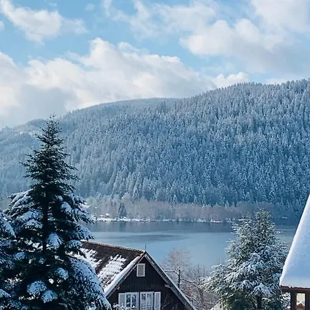 Le Cosy Dream Des Xettes Apartment Gérardmer